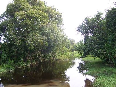 water-canal-pekan1